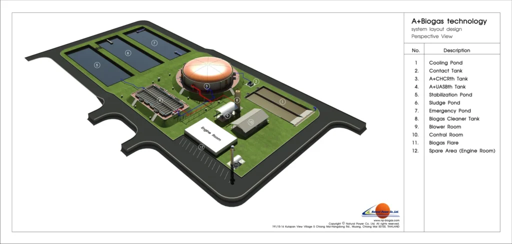 CPP_Layout_01_resize